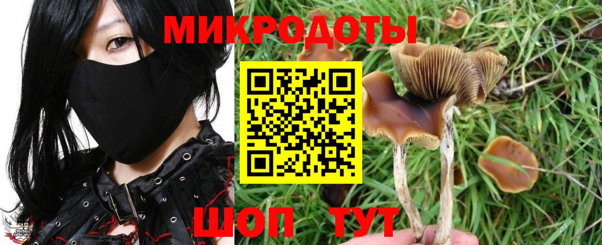 Галлюциногенные грибы мухоморы  Псилоцибиновые грибы GOLDEN TEACHER  купить закладку  Усть-Джегута  Вход с VPN 