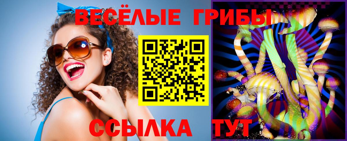 Псилоцибиновые грибы GOLDEN TEACHER Усть-Джегута